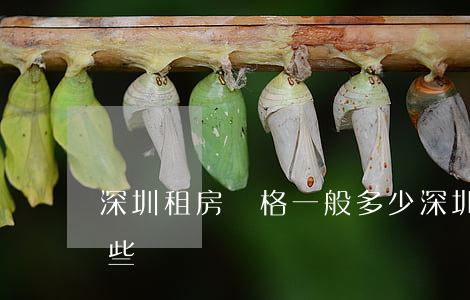 深圳租房價格一般多少（深圳租房需要注意哪些問題）
