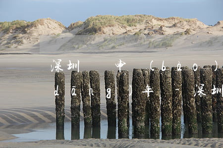 深圳納稅申報(bào)逾期首次是指當(dāng)年嗎-深圳納稅申報(bào)逾期首次是指當(dāng)年嗎還是次年