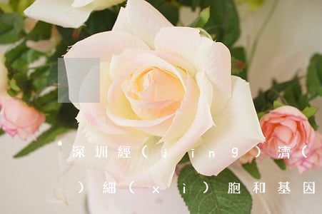 深圳經(jīng)濟(jì)特區(qū)細(xì)胞和基因產(chǎn)業(yè)促進(jìn)條例2023最新版【全文】