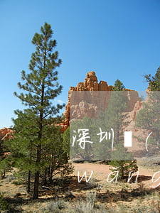 深圳網(wǎng)貸逾期一年-深圳網(wǎng)貸逾期一年怎么處理
