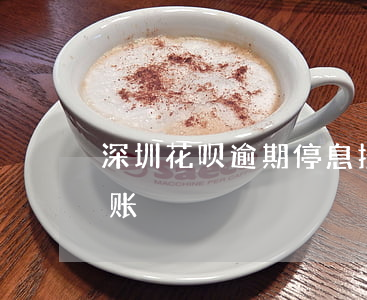 深圳花呗逾期停息挂账(花呗如何申请停息挂账)