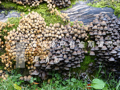 深圳落戶有逾期還款記錄(深圳異地房貸記錄還清后)
