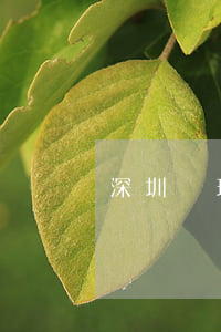 深圳處理信用卡逾期 逾期后申請信用卡