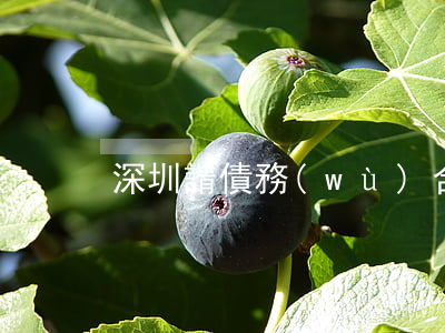 深圳請債務(wù)合同律師
