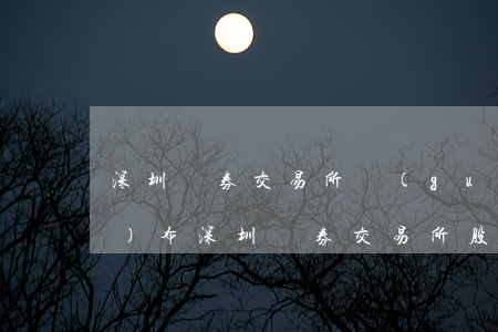 深圳證券交易所關(guān)于發(fā)布深圳證券交易所股票上市規(guī)則（2004年修）