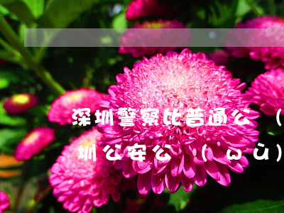 深圳警察比普通公務(wù)員多多少錢(深圳公安公務(wù)員待遇怎么樣)