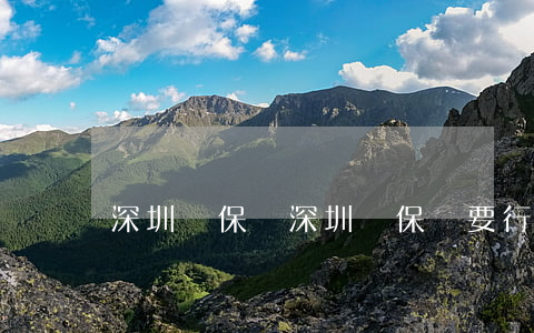 深圳買保險(深圳買保險要行駛證)