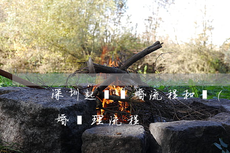 深圳起訴離婚流程和費(fèi)用(深圳離婚辦理流程)