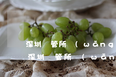 深圳車管所網(wǎng)上預(yù)約(深圳車管所網(wǎng)上預(yù)約系統(tǒng))
