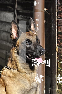 深圳較好的債權(quán)債務(wù)律師免費(fèi)咨詢-深圳較好的債權(quán)債務(wù)律師免費(fèi)咨詢平臺(tái)