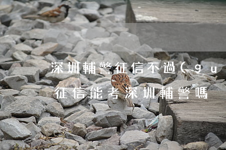 深圳輔警征信不過(guò)（信用卡逾期上征信能考深圳輔警嗎）