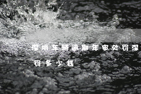 深圳车辆逾期年审处罚(深圳车辆逾期年审处罚多少钱)