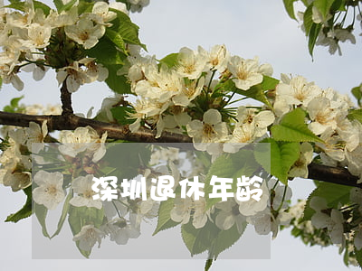 深圳退休年龄