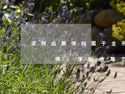 深圳逾期保稅屬于全市通業(yè)務(wù)嗎-保稅逾期怎么處理