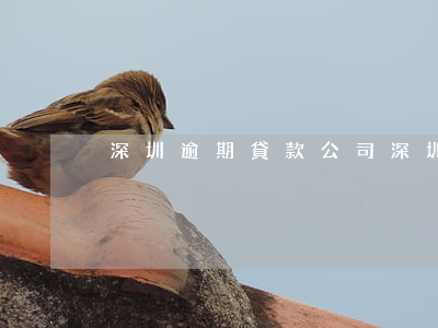 深圳逾期貸款公司 深圳逾期貸款公司