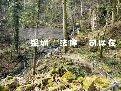 深圳違法停車可以在東莞處理嗎
