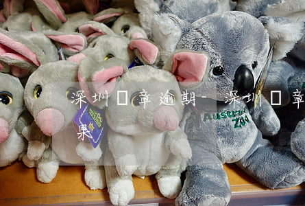 深圳違章逾期-深圳違章逾期處理有什么后果