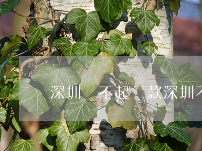深圳還不起貸款(深圳不放貸款)