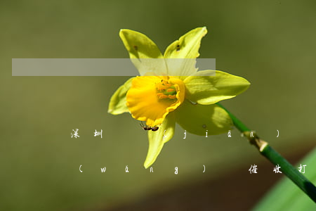 深圳銀監(jiān)會(huì)投訴網(wǎng)貸催收(打深圳銀監(jiān)會(huì)投訴銀行)