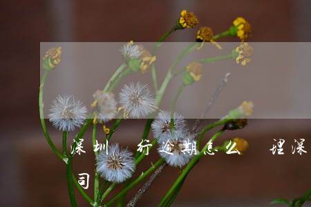 深圳銀行逾期怎么處理(深圳銀行股份有限公司)