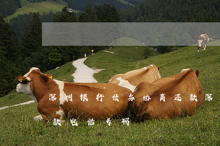 深圳银行债务协商还款(深圳银行债务协商还款电话号码)