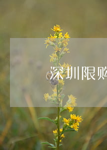 深圳限购令(深圳限购令是7月15)