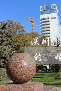 深圳離婚律師收費(fèi)一般是怎么收的(離婚律師一般收費(fèi)標(biāo)準(zhǔn)是多少)