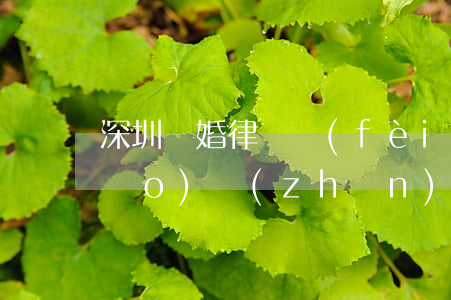 深圳離婚律師費(fèi)用收取標(biāo)準(zhǔn)(深圳請(qǐng)律師的費(fèi)用標(biāo)準(zhǔn))