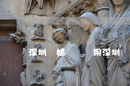 深圳離婚訴訟費用(深圳離婚律師費用收取標準)