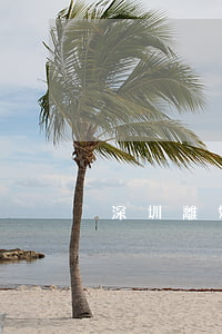 深圳離婚買房