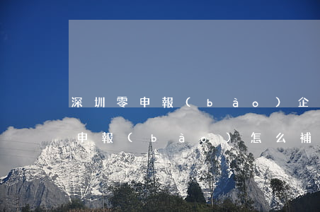 深圳零申報(bào)企業(yè)逾期未申報(bào)怎么補(bǔ)-深圳零申報(bào)企業(yè)逾期未申報(bào)怎么補(bǔ)報(bào)