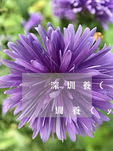 深圳養(yǎng)老保險(xiǎn)(深圳養(yǎng)老保險(xiǎn)最高繳費(fèi)基數(shù))