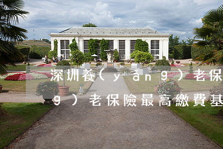 深圳養(yǎng)老保險(深圳養(yǎng)老保險最高繳費基數(shù))