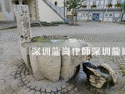 深圳龍崗律師(深圳龍崗律師事務(wù)所)