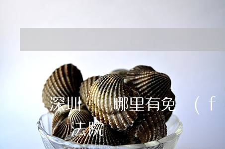深圳龍華哪里有免費(fèi)法律(深圳龍華法院)