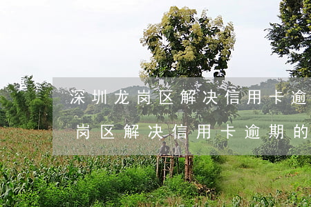 深圳龙岗区解决信用卡逾期的公司-深圳龙岗区解决信用卡逾期的公司有哪些