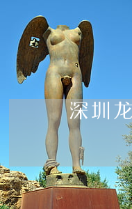 深圳龙岗律师(深圳龙岗律师事务所)