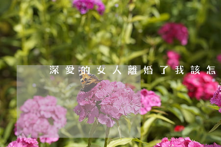 深愛的女人離婚了我該怎么辦