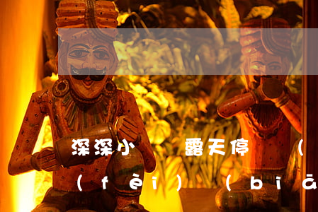 深深小氣車露天停車場(chǎng)收費(fèi)標(biāo)準(zhǔn)是多少(露天停車位收費(fèi)標(biāo)準(zhǔn))