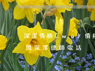 深澤債務(wù)債權(quán)律師顧問 深澤律師電話