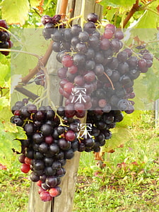 深澤債務(wù)糾紛律師費(fèi)用(深澤債務(wù)糾紛律師費(fèi)用)