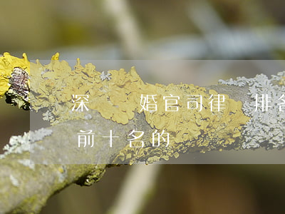 深澤離婚官司律師排名(深圳離婚律師所排名前十名的)