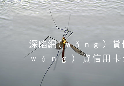 深陷網(wǎng)貸信用卡逾期求助(網(wǎng)貸信用卡全部逾期無(wú)力償還)