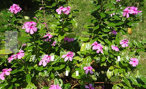 深陷網(wǎng)貸欠了十多萬(wàn)怎么辦(網(wǎng)貸欠了十幾萬(wàn)怎么辦)