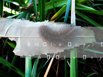 深陷網(wǎng)貸逾期十萬(wàn)怎么辦(網(wǎng)貸全面逾期)