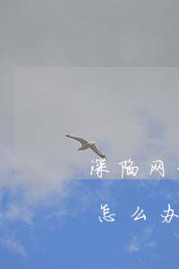 深陷网贷欠了十多万怎么办(网贷欠了十几万怎么办)