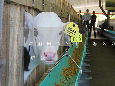 深陷网贷欠十万怎么办(欠10多万网贷怎么解决)