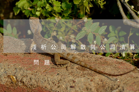 淺析公司解散與公司清算相關(guān)問題