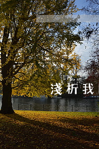 淺析我國(guó)的家庭暴力犯罪