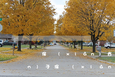 淺談保險(xiǎn)合同糾紛(關(guān)于保險(xiǎn)合同糾紛的案例)